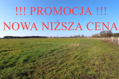 Działka Sprzedaż Lubczyna