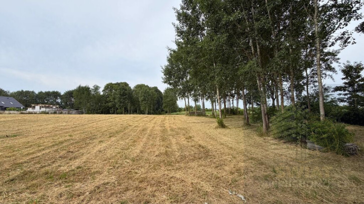 Działka Sprzedaż Marszewo 4