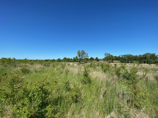 Działka Sprzedaż Dołuje 1