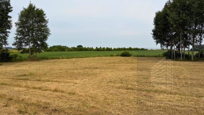 Działka Sprzedaż Marszewo