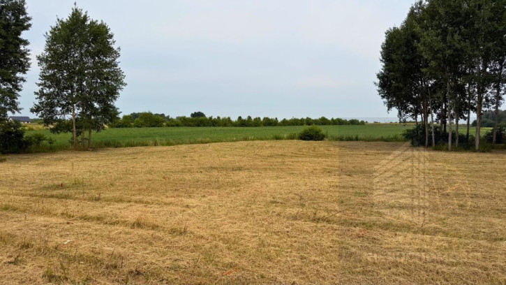 Działka Sprzedaż Marszewo 5