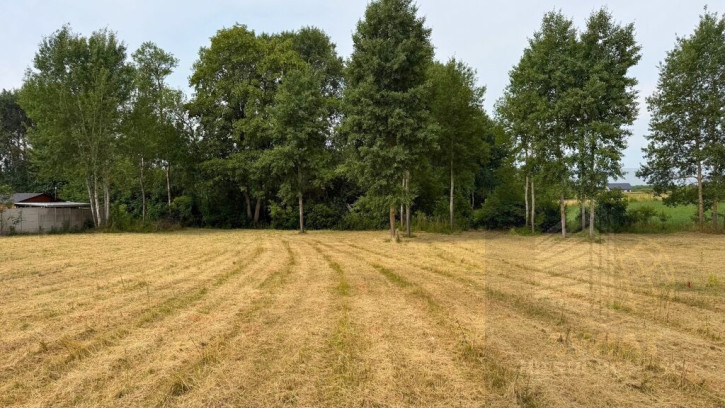 Działka Sprzedaż Marszewo 4