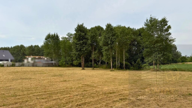 Działka Sprzedaż Marszewo 6