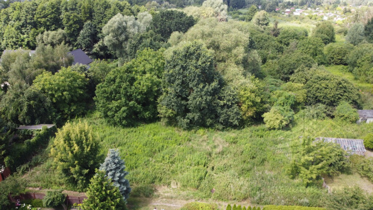 Działka Sprzedaż Szczecin Dąbie 2