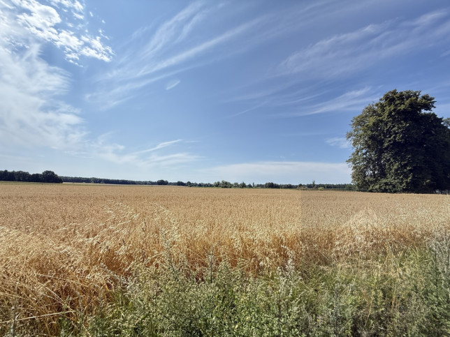Działka Sprzedaż Oświno 19