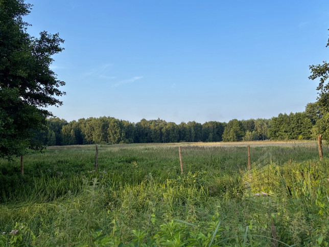 Działka Sprzedaż Tanowo 1
