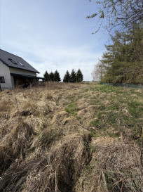 Działka Sprzedaż Rurzyca Skryta