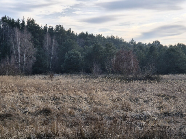 Działka Sprzedaż Świnoujście Przytór Zalewowa 11
