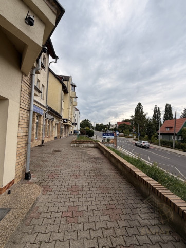 Lokal Wynajem Szczecin Bezrzecze 9