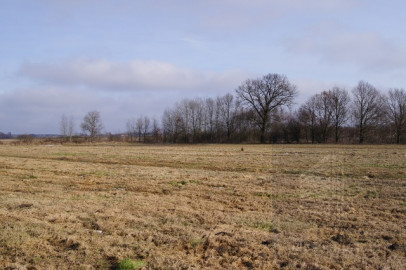 Działka Sprzedaż Jarzębowo