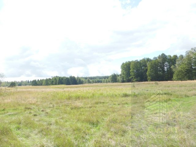 Działka Sprzedaż Grzepnica