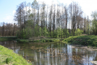 Obiekt Sprzedaż Świdwin