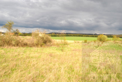 Działka Sprzedaż Binowo