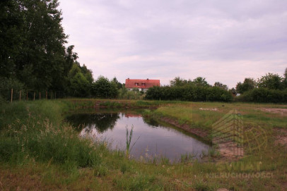 Działka Sprzedaż Zieleniewo