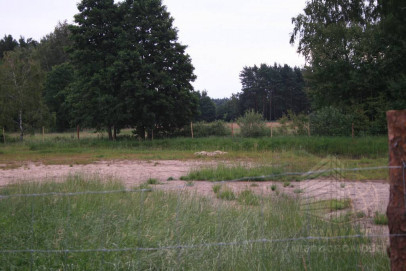 Działka Sprzedaż Zieleniewo