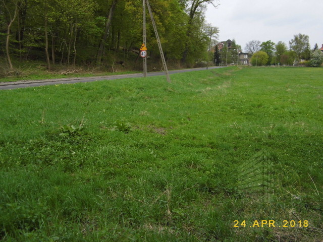 Działka Sprzedaż Szczecin Skolwin 1