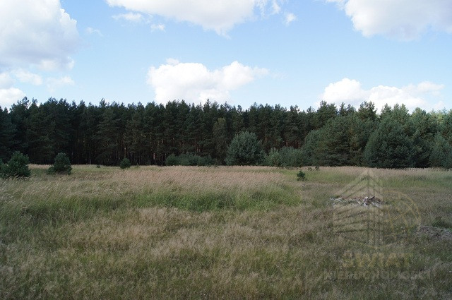 Działka Sprzedaż Sowno 4