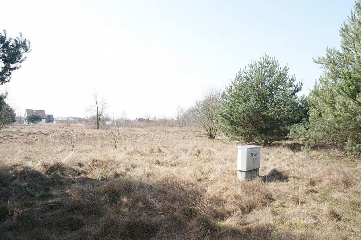 Działka Sprzedaż Rurzyca 1