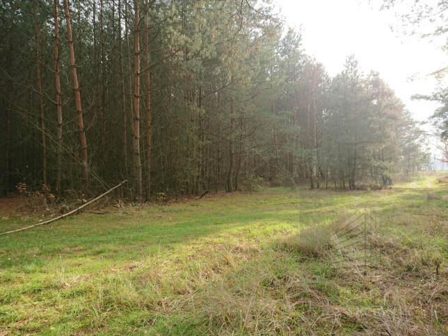 Działka Sprzedaż Starzyce 4