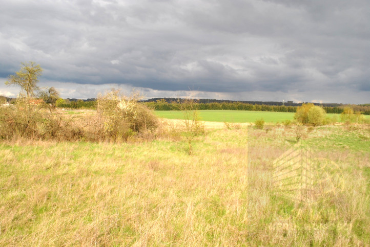 Działka Sprzedaż Binowo 3