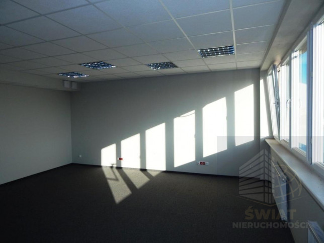 Lokal Wynajem Szczecin Śródmieście 3