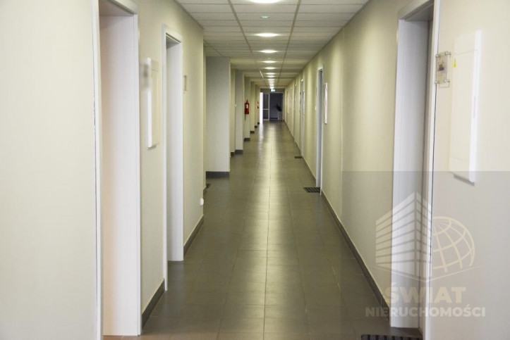 Lokal Wynajem Szczecin Śródmieście 13