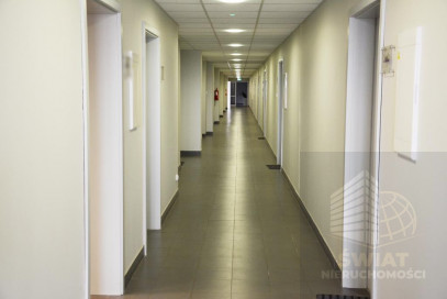 Lokal Wynajem Szczecin Śródmieście