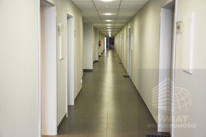 Lokal Wynajem Szczecin Śródmieście 13