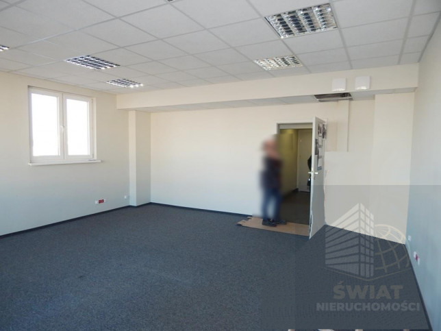 Lokal Wynajem Szczecin Śródmieście 2