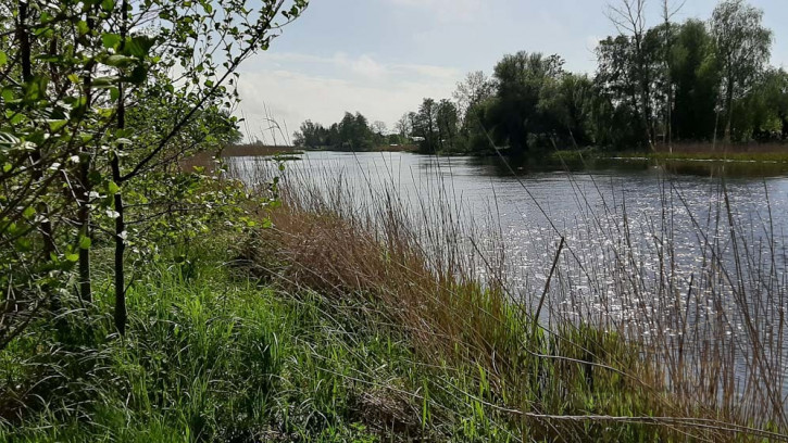 Działka Sprzedaż Mrzeżyno 1
