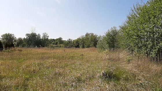 Działka Sprzedaż Mrzeżyno 19