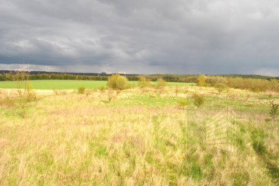 Działka Sprzedaż Binowo