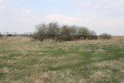 Działka Sprzedaż Barnisław