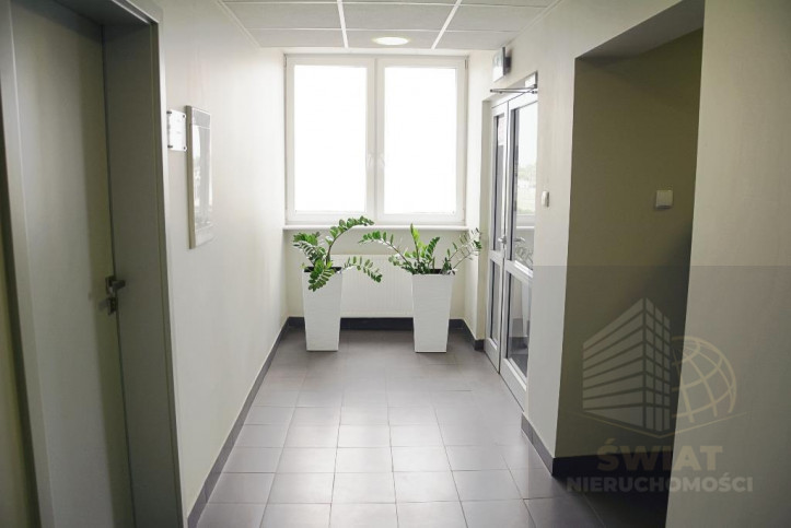 Lokal Wynajem Szczecin Śródmieście 6