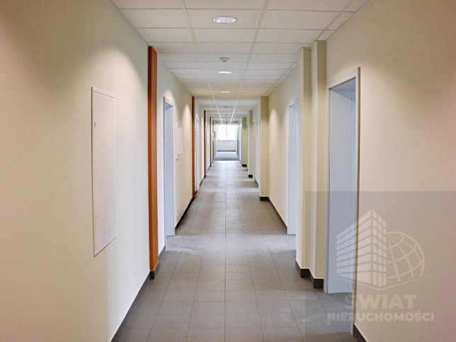 Lokal Wynajem Szczecin Śródmieście 12