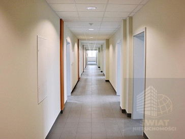 Lokal Wynajem Szczecin Śródmieście