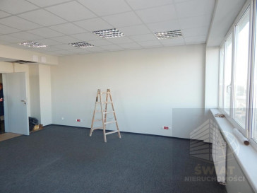 Lokal Wynajem Szczecin Śródmieście