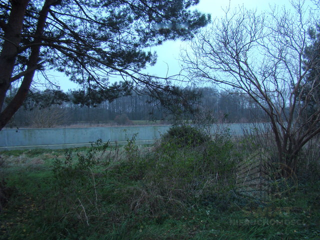 Działka Sprzedaż Pniewo 5