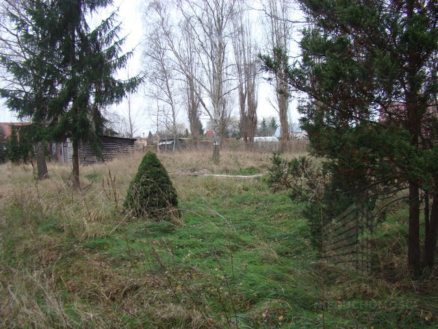 Działka Sprzedaż Pniewo 7