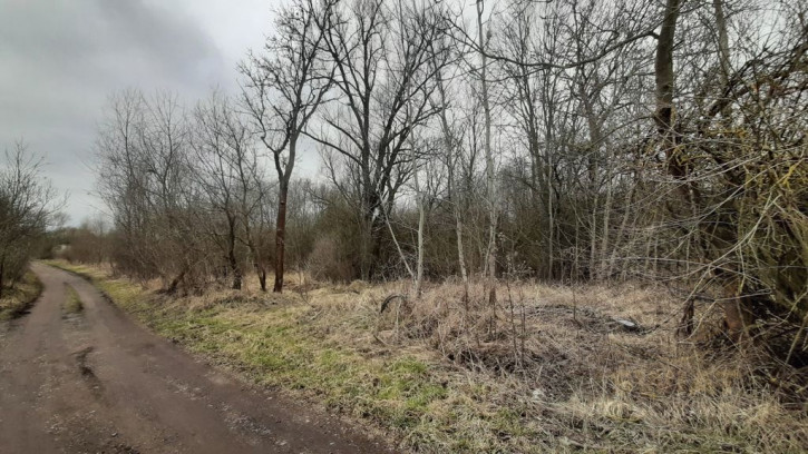 Działka Sprzedaż Karwowo 5