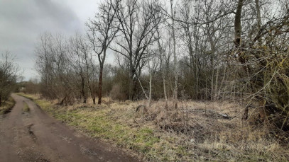 Działka Sprzedaż Karwowo