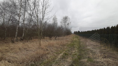 Działka Sprzedaż Karwowo