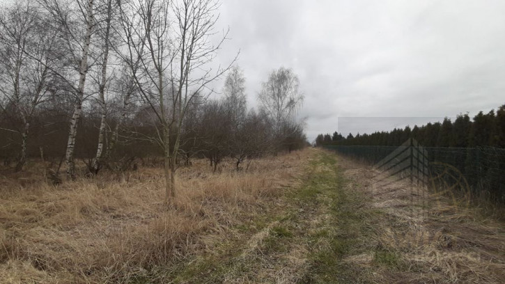 Działka Sprzedaż Karwowo 1