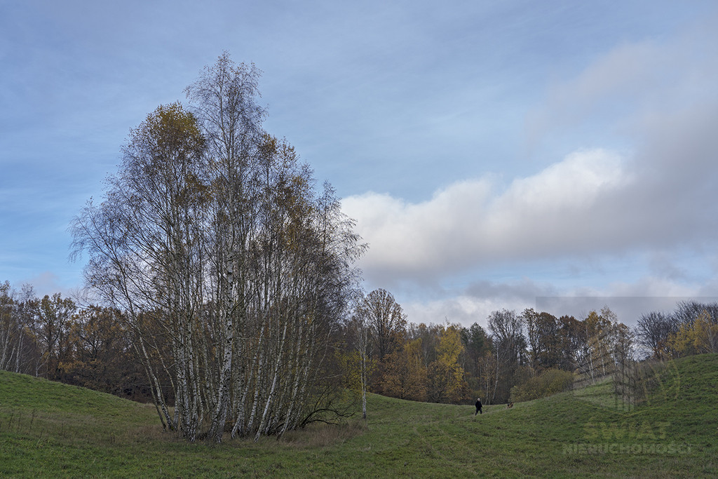 Działka Sprzedaż Sarnikierz
