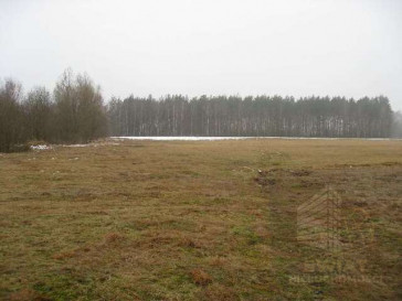 Działka Sprzedaż Stepnica
