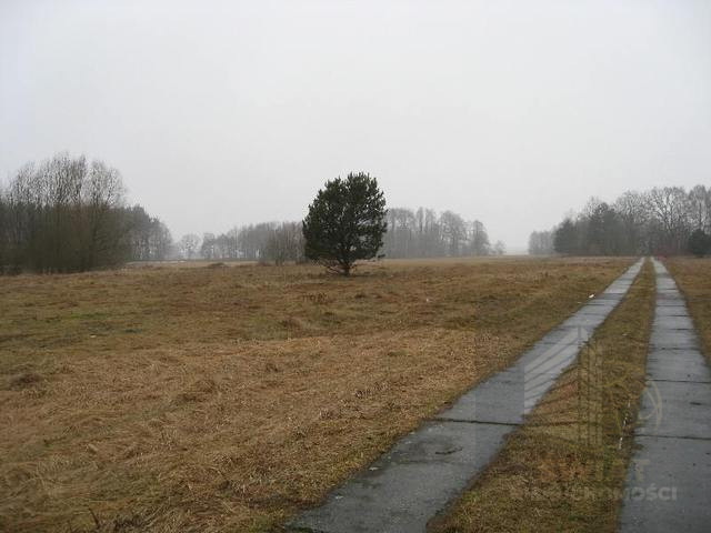 Działka Sprzedaż Stepnica 9