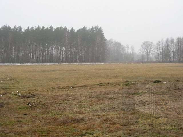 Działka Sprzedaż Stepnica 13