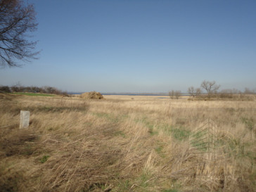 Działka Sprzedaż Turze