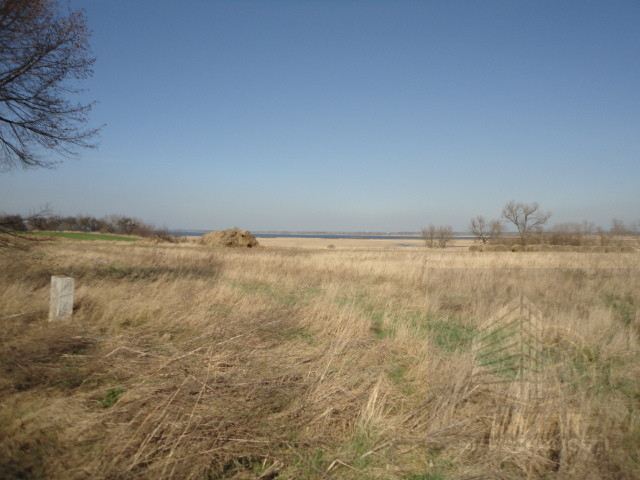 Działka Sprzedaż Turze 1