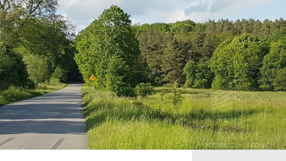 Działka Sprzedaż Swobnica